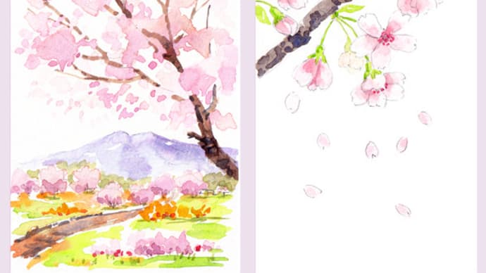 ◆桜・ハガキ◆