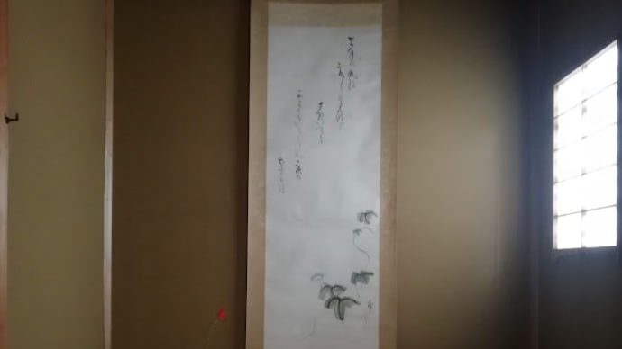 夏のお軸 朝顔 花は梅花甘茶 撫子 姫ヒオウギズイセン