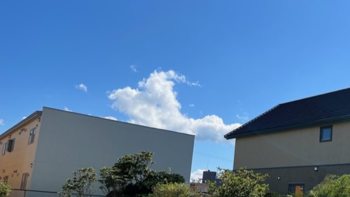 徘徊あとの空は眩しい