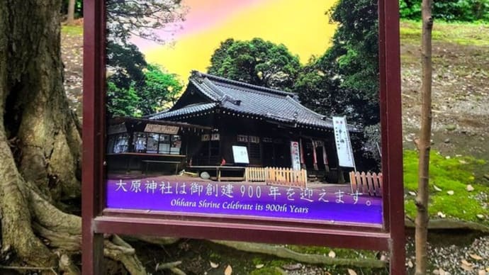 茅の輪くぐり、大原神社にて