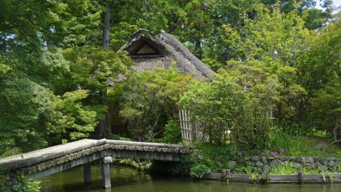 まち歩き (京都) (5)
