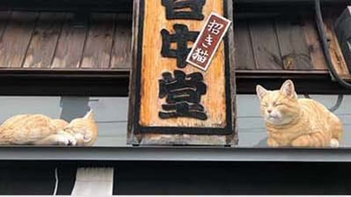 谷根千界隈に本物のネコは居なくなった?