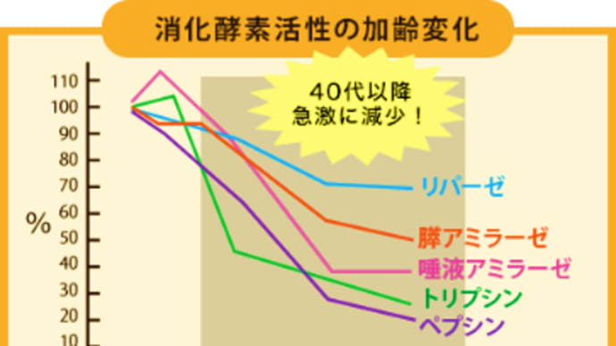 40代以降の女性のための育筋食