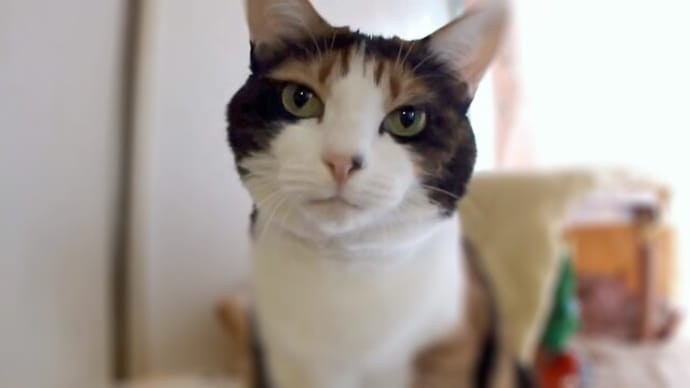ひもに目がないユッケさん (=^·^=)