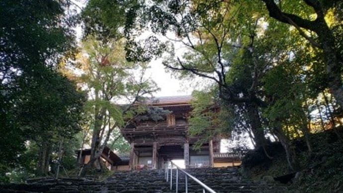 弘法大師の足跡を辿る~神護寺篇