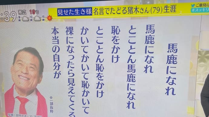 今週も、馬鹿になれ‼️