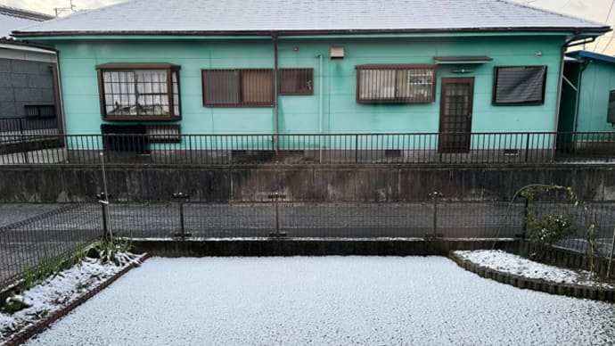 初雪❄️