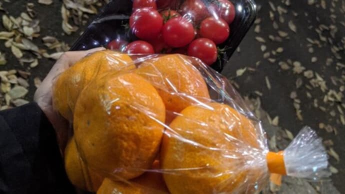 そうか安い野菜と合わせて買えばよいのか~。