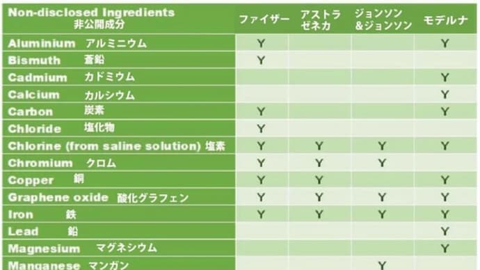 酸化グラフェン / イベルメクチン