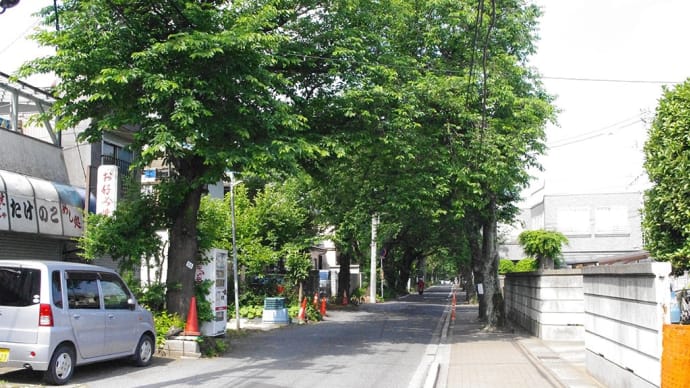 国府台城跡/明戸古墳|千葉県市川市 ~古墳や戦国城郭の土塁が混然一体化した里見公園~