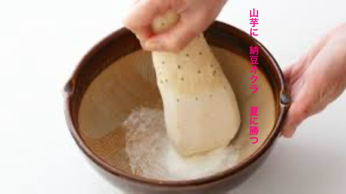 山芋に 納豆オクラ 夏に勝つ