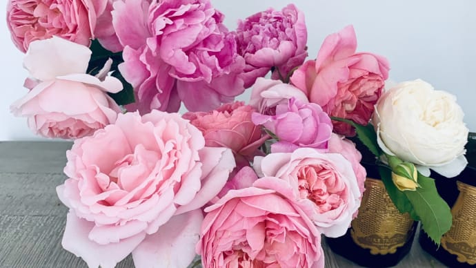 6月は薔薇色の季節