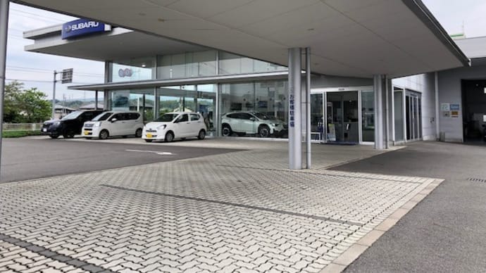 真っ白なXV　