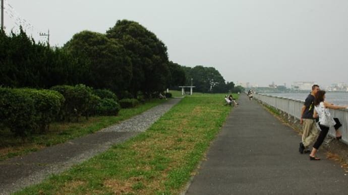 京浜島つばさ公園