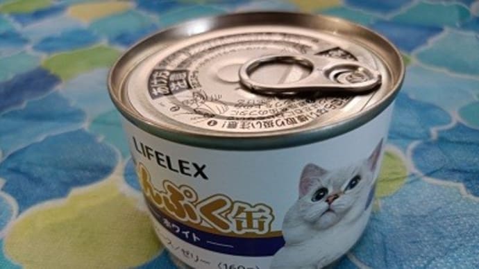 2023年の猫news⑮ 安く無くても好物だから買う猫缶