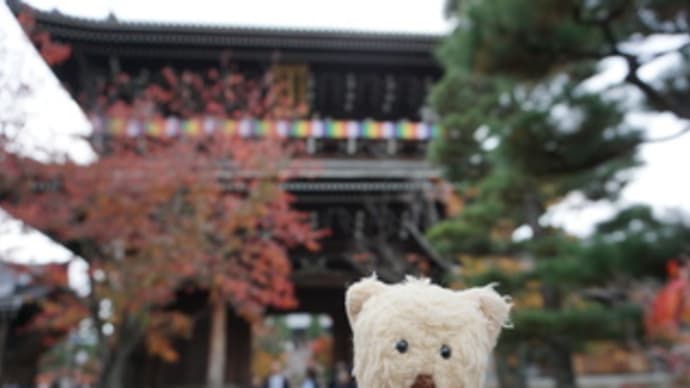 紅葉と共に楽しむ文化財「秋の京都特別公開」。「黒谷　金戒光明寺」の山門、庭園など