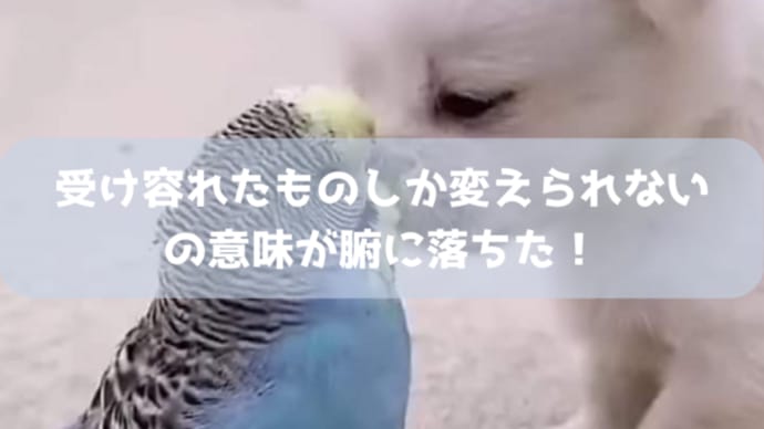【講座の感想】受け容れたものしか変えられないの意味が腑に落ちた!