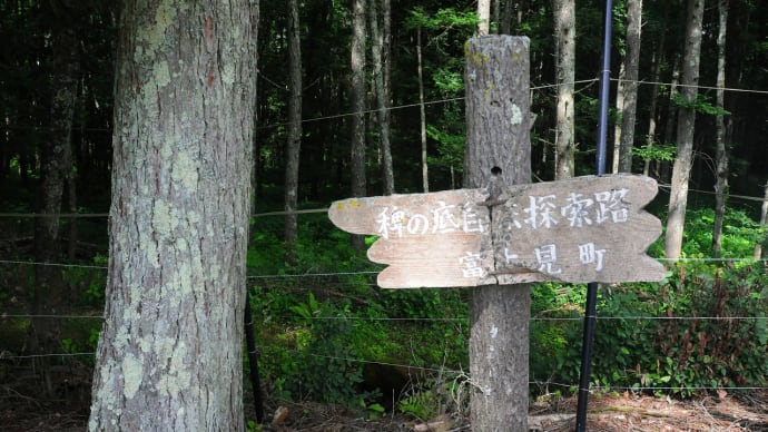 富士見町　稗の底　古村祉散策　クーナの森を歩く