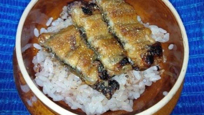 三重県産鰻蒲焼き、頭側で鰻丼で昼食にしたんだね:D