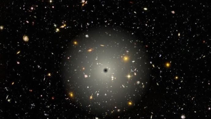 「The Law of the Universe　宇宙の法」2020.12