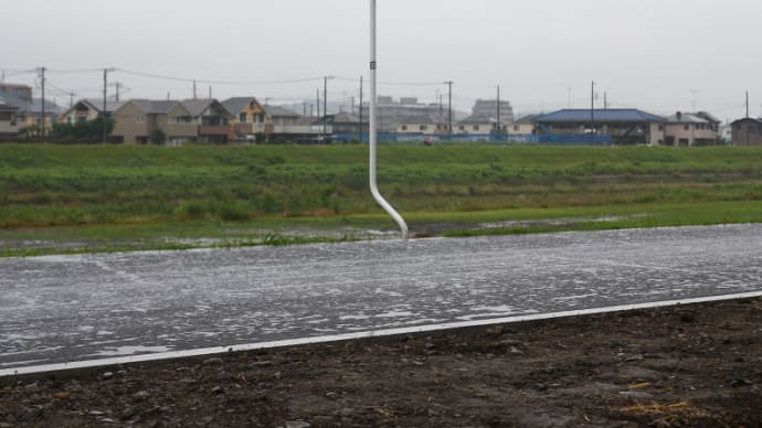 6月23日(木)朝の浅川堤防道路散策