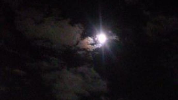 ひとりde十六夜