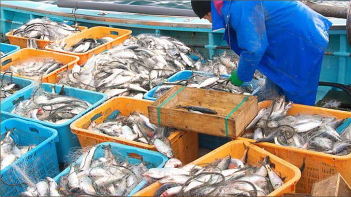 ただいま、昆虫食上陸中、今までの食材はどうなるのだろうか？