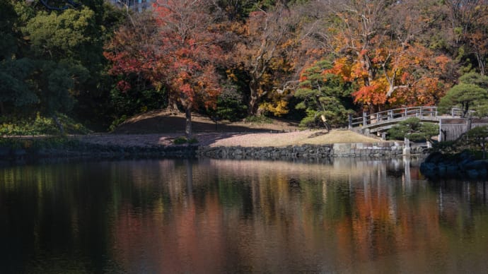 紅葉2024:浜離宮恩賜庭園