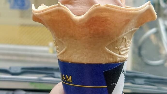 コスモス、蓮田の