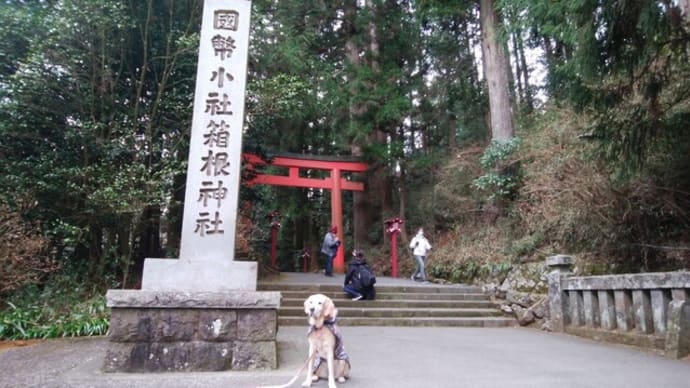 最近のシルク＊年末の箱根など・・・