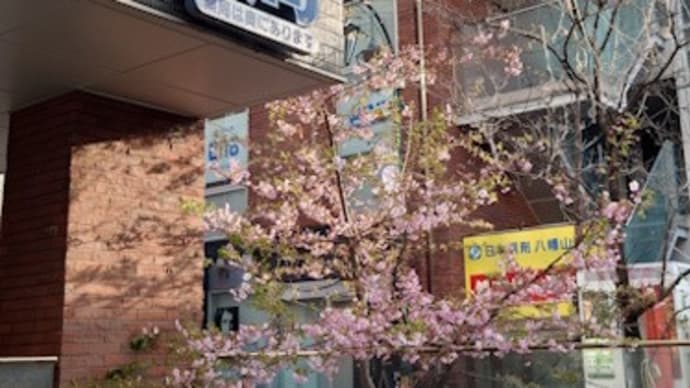 皮膚科を変えました