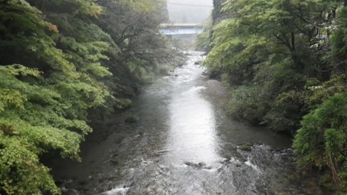 10月08日　那比川・亀尾島川で終盤の鮎釣り！