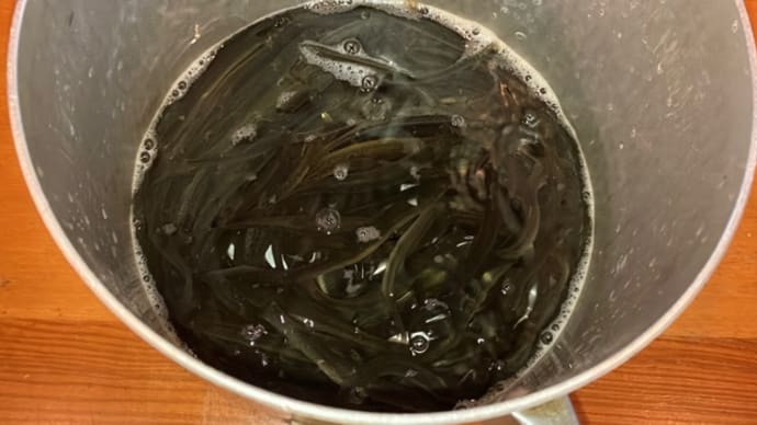 初どじょう