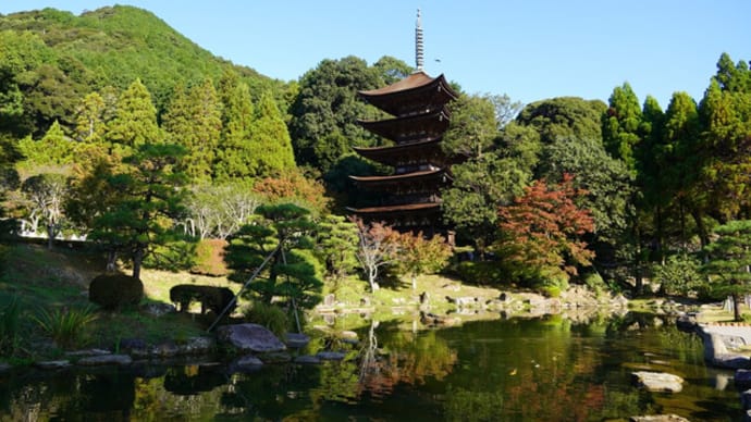 山口盆地紅葉前線