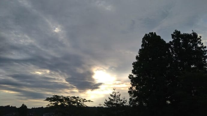 クロネコの空