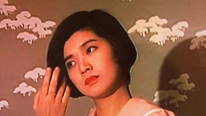 澪つくし1985→BS・NHK・2020 沢口靖子&桜田淳子