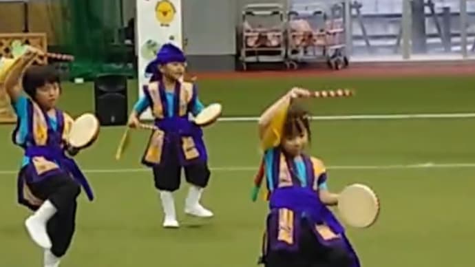しまんちゅ娘に成長中w➰エイサー上手に踊れたよ🌺