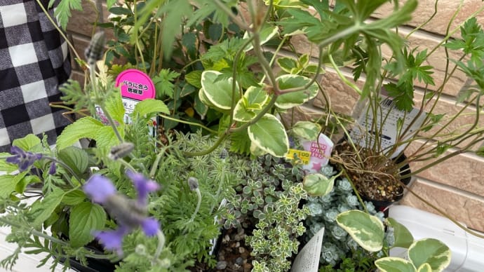お花植えました!