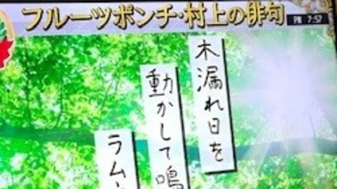 プレバト俳句~木漏れ日