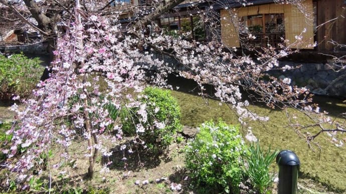 昼の祇園白川 川端 三条小橋 生成置き換え