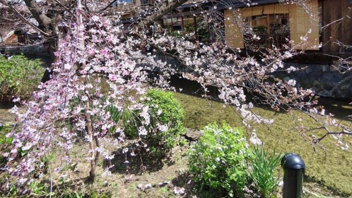 昼の祇園白川　川端　三条小橋　生成置き換え