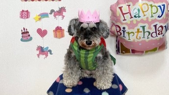 瑠海9歳の誕生日