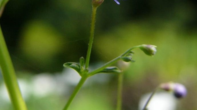2005.08 -03