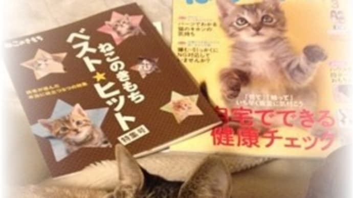 知りたいから、ねこのきもち♪
