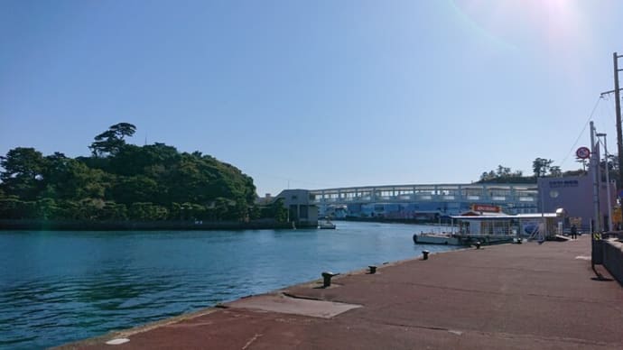 ミキモト真珠島(三重県 鳥羽市)の真珠博物館はとてもオススメ!