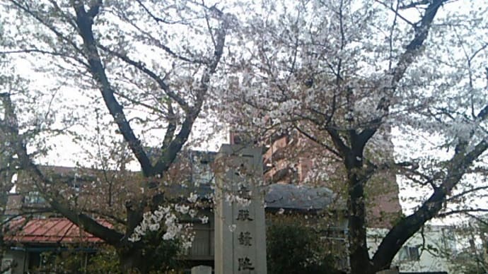 春歌下 大内花見