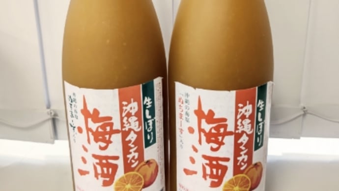泡盛史上最強のリキュール『生しぼり沖縄タンカン梅酒』がここにある❗・・・松藤(伊芸)