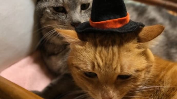 ハロウィンのおもひで