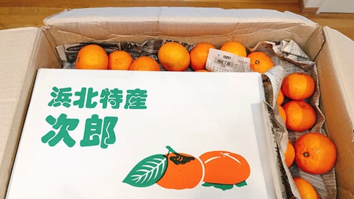 実家から、柿とみかんが届きました ♪
