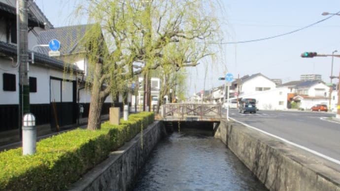 しっとりと落ち着いた町・出雲市、好きです・・・日本の歴史と伝統が根付くマチュアな山陰・島根県の町です